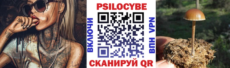 Галлюциногенные грибы MAGIC MUSHROOMS  Омутнинск 
